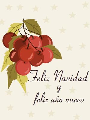 Feliz Navidad 2