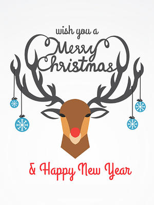Wish You a Merry Christmas & Happy New Year