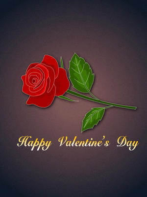 Happy 
Valentine's Day