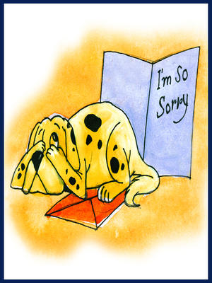 I'm So Sorry