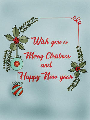 Wish You a Merry Christmas and Happy New Year