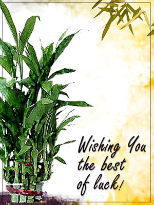 Wishing You the Best of Luck!