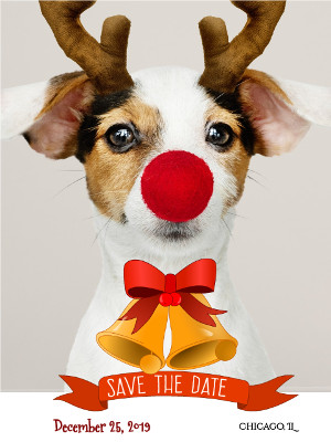 Save the Date for Christmas