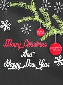 Merry Christmas & 
Happy New Year