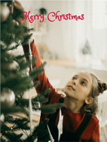 Merry Christmas - Christmas Photocard