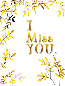 I Miss you