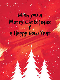 Wish You a Merry Christmas & Happy New Year